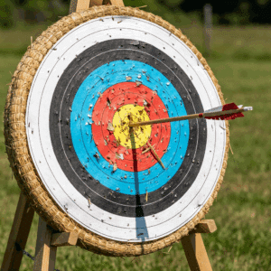 Target with an arrow hitting the center, representing precise fertility decisions